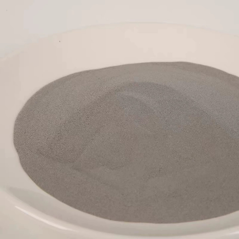 ผงสแตนเลส 304 ขนาด 500 กรัม สำ - 3D Printing Stainless Steel บทวิจารณ์และราคา