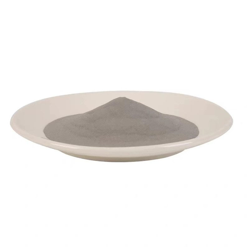 ผงสแตนเลส 304 ขนาด 500 กรัม สำ - 3D Printing Stainless Steel บทวิจารณ์และราคา